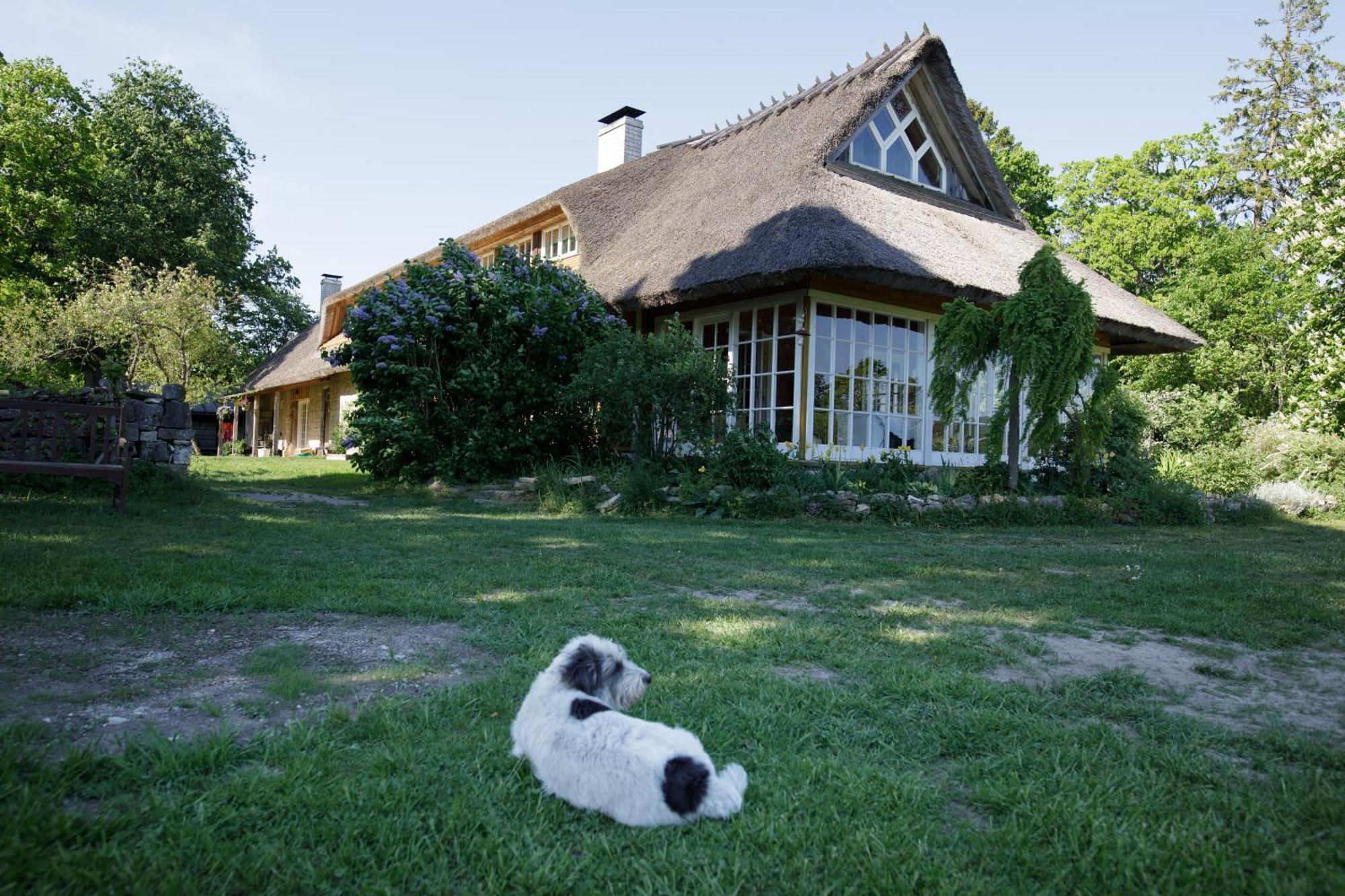 Muhu Tonise Talu Hotel Liiva  Bagian luar foto